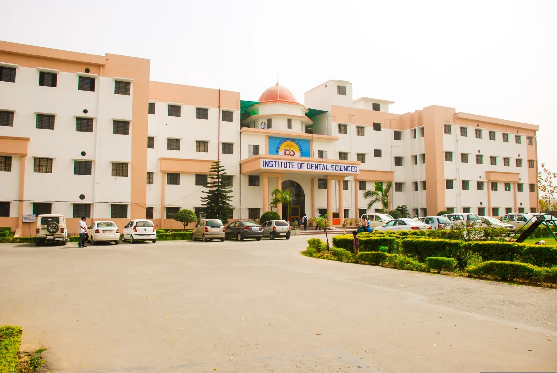 Institute of Dental Sciences