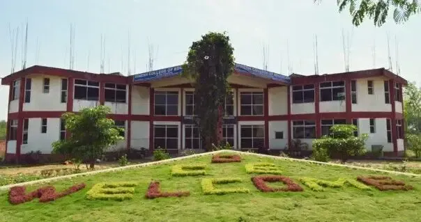 Babu Dinesh Singh University