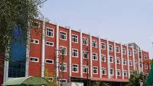 City Law College
