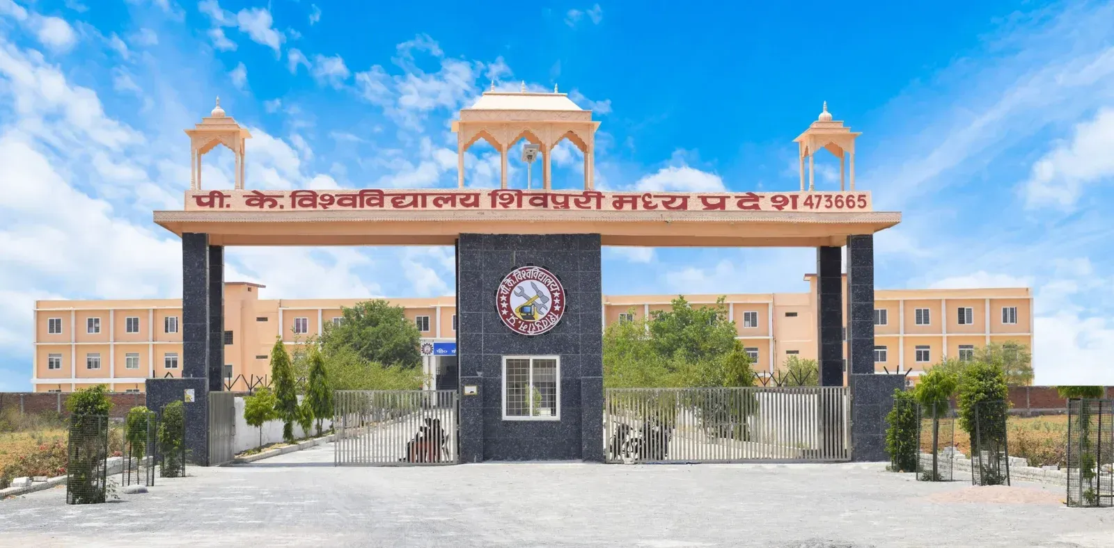 P.K. University