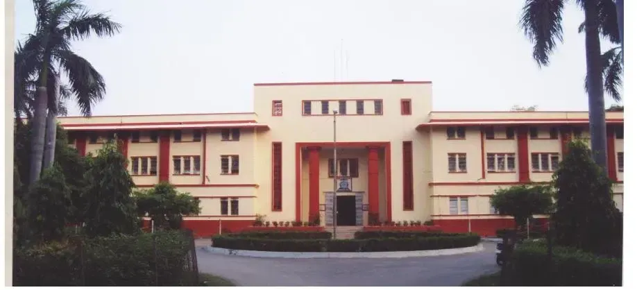 Faculty of Law