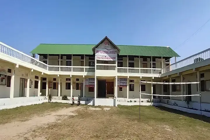 Apex Professional University